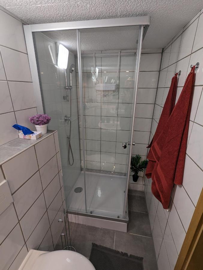 Direkt An Der S-Bahn Gelegenes Gemutliches Souterrain Apartment Mit Privatem Zugang Troisdorf Eksteriør billede